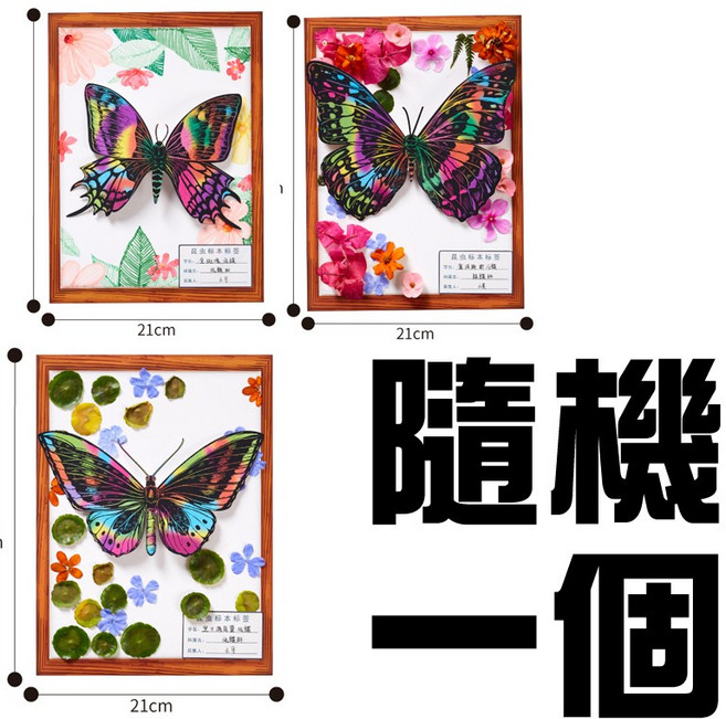 昆蟲刮畫 刮刮畫 兒童自學 兒童手作材料包 夏令營 露營遊戲 戶外勞作, 1個, 蝴蝶隨機一款(超取最多80個)