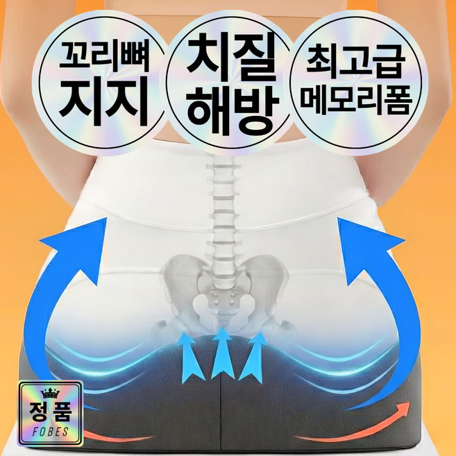 포베즈 꼬리뼈 자유 고밀도 메모리폼 자세교정 3D 치질 방석 MAX 3.0, 웨일블랙(남여공용)