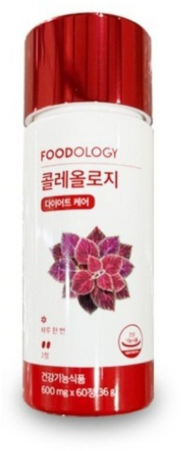 푸드올로지 콜레올로지 600mg x 60개입, 60정, 4개