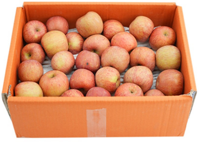 달콤아삭 주스용 햇 홍로 사과, 1개, 10kg