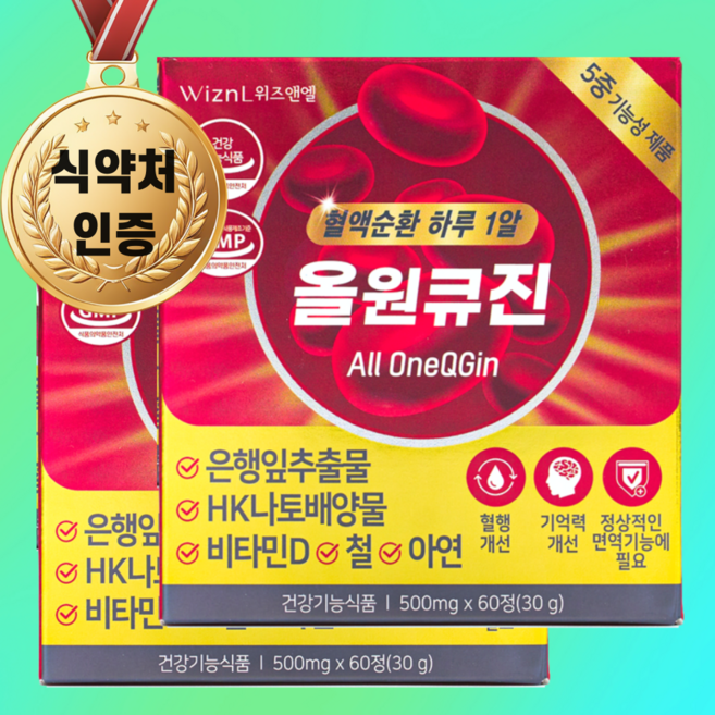 위즈앤엘 올원큐진 혈액순환 나토키나제 뇌 영양제 혈행 개선 2개 4개월분, 60정, 2박스