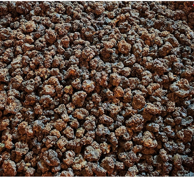 [하늘채농장] 자연산 건조 개다래 충영 250g 국내산, 1개