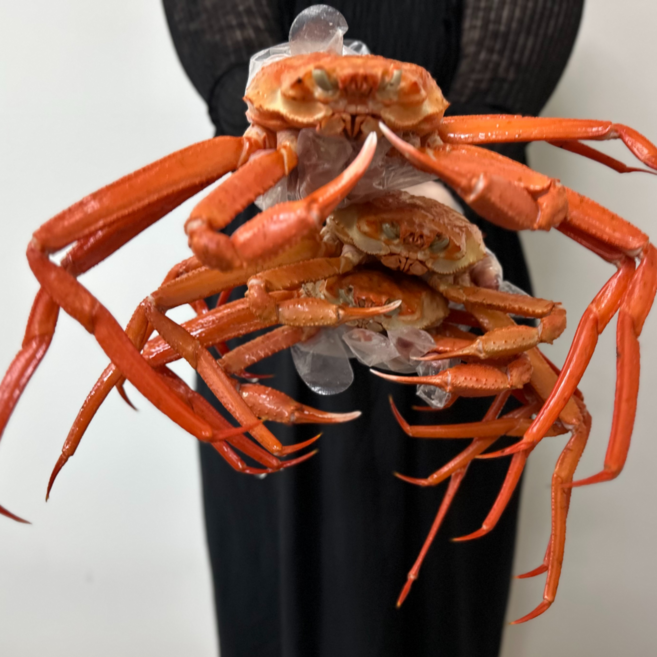 국내산 울진 후포리 프리미엄 자숙 홍게 당일조업 산지직송, 1세트, 1.5kg 내외(프리미엄 자숙홍게 4~6미)