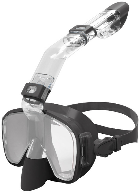 인피아 스노쿨링 마스크 스노쿨링 세트 듀얼 글라스, 블랙