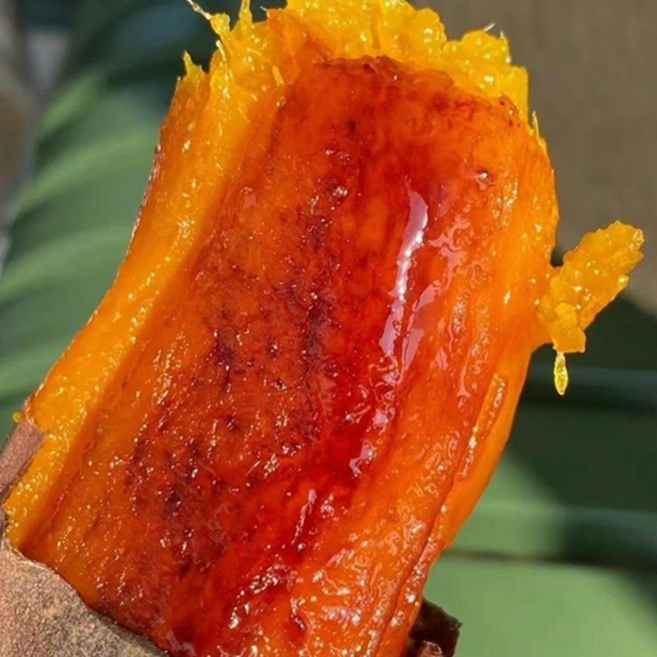 대형마트납품 초고당도 호풍미품종 호박고구마, 1박스, 3kg(중상)