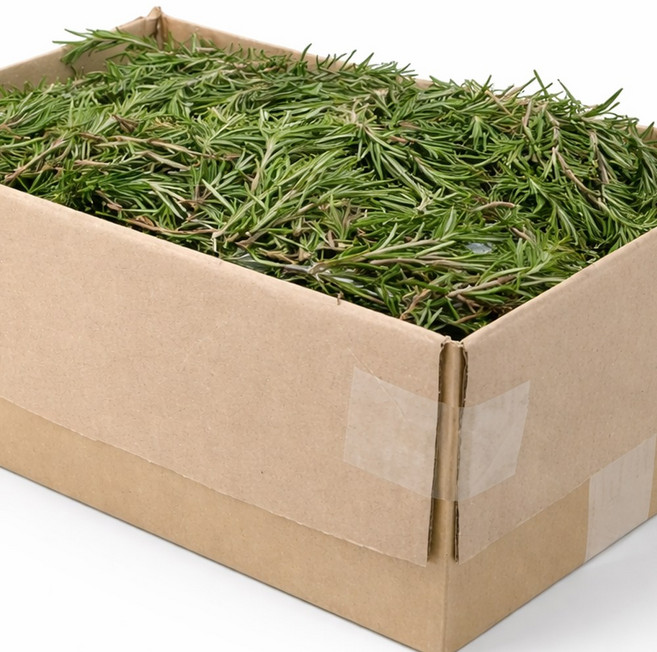 국내산 허브 로즈마리 생잎 한박스 1kg 가락시장 새벽경매, 로즈마리 한박스 1kg, 1개