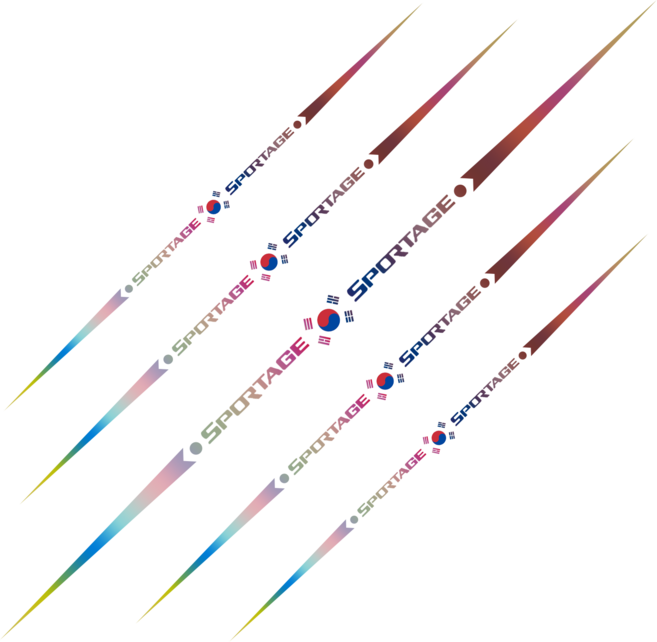 Ryusei 차량 스티커 기아 로고 호환 홀로그램 야광 꾸미기 태극기 라인 데칼 스티커 카니발 K8 모닝 레이 셀토스 쏘렌토 스포티지 호환 R058, 2개, Sportage-홀로그램