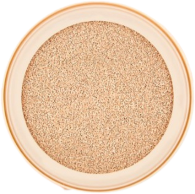 더페이스샵 잉크래스팅 슬림핏 뉴 쿠션 파운데이션 리필 12g, 203V BEIGE 내추럴 베이지, 5개