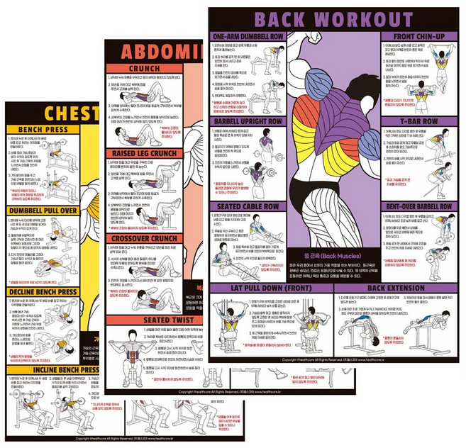 운동포스터 헬스장 홈트 웨이트 근육 운동방법 가이드 헬스포스터 9종, 선택3)복근(Abdominal)운동