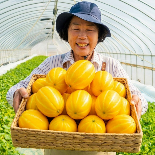 [당도100%보장] 참들농원 성주 꿀참외 산지직송 새벽수확 고당도 참외 랜덤과, 1박스, 1kg