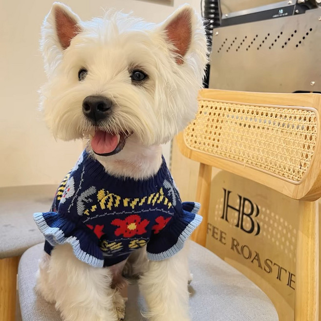 Star Fun강아지 옷 강아지 옷 꽃무늬 유화스타일레이스소매스웨터 가을과 겨울에 적합, 1개, 파란 무늬