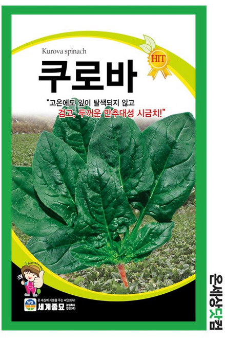 쿠로바시금치 30g / 시금치씨앗 시금치씨 여름시금치, 1개