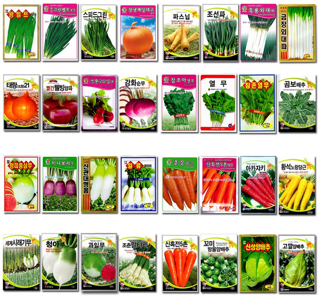 채소씨앗 민속채소 이색종자 과일씨앗 야채씨앗 구근채소 열매채소 텃밭채소 140여종, 23_세계땅두릅(100립), 1개