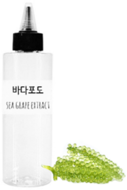 드그라쎄 원액 100%, 바다포도 추출물, 50ml, 1개