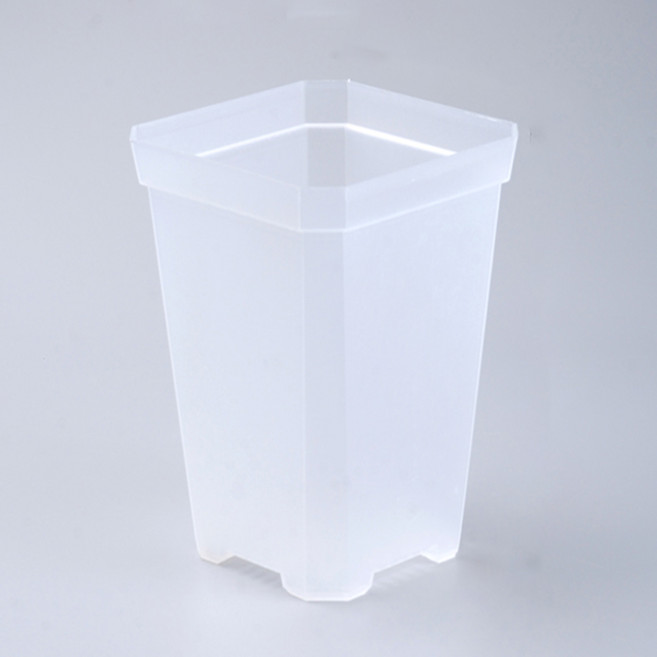 미미네가든 투명 슬릿 화분 L (받침포함) - 뿌리관찰, 단품