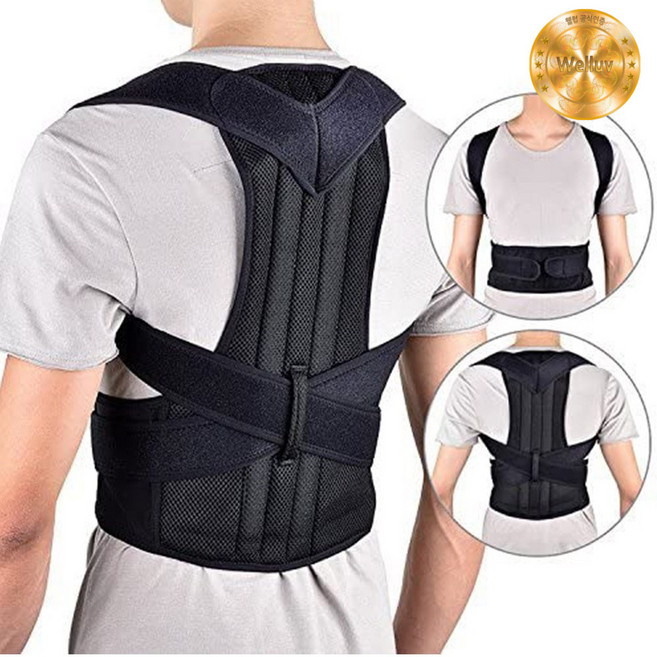 웰럽 프리미엄 바른 자세밴드, 2개