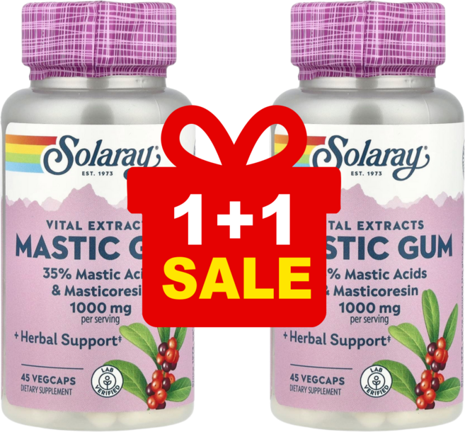 1+1 솔라레이 매스틱수치 35% 매스틱검 1000mg 베지캡슐 45정 / 해외직구 미국정품, 2개