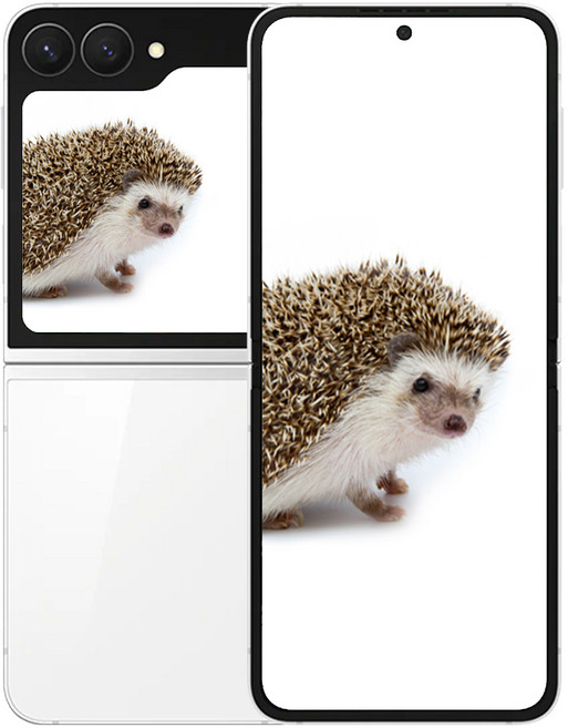 삼성전자 갤럭시 Z 플립7 FE, 256GB, 화이트