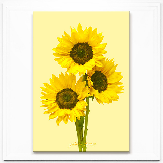 돈 들어오는 골드 해바라기 풍수그림 재물운 금전운 그림액자 15종, 10. 옐로우 선플라워