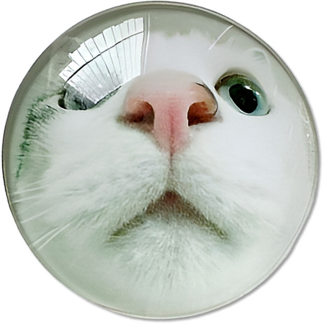 영스피플 볼록렌즈 동물 스마트톡 그립 귀여운 곰돌이 고양이 강아지 핸드폰 휴대폰 톡거치대, 1개, 흰색 고양이