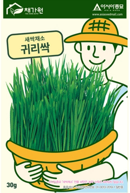 아시아종묘 씨앗 새싹 귀리싹 30g, 3개