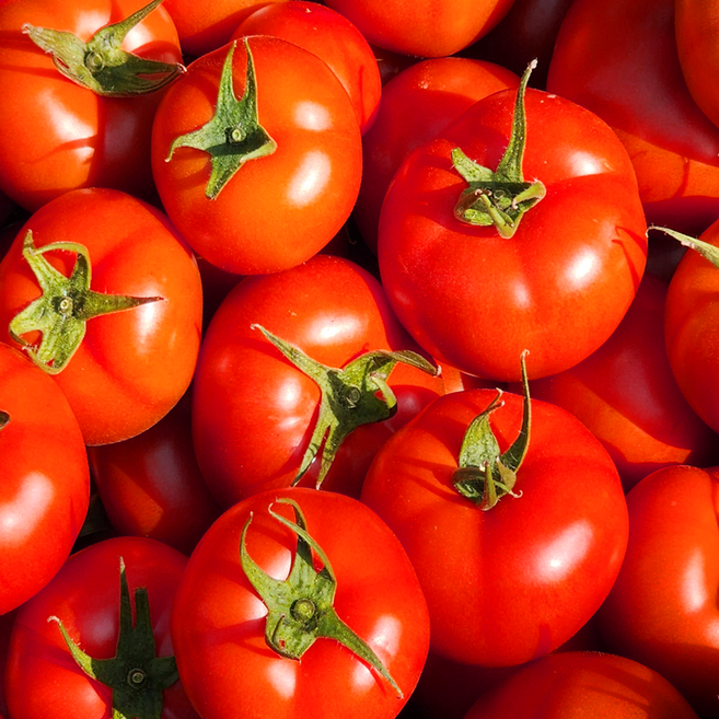 국내산 완숙 토마토 초특가, 1개, 5kg 대과