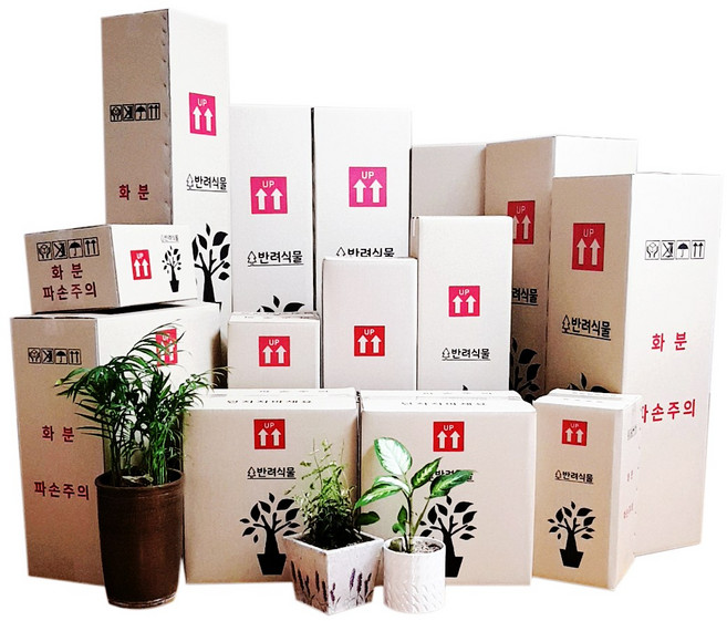 박스365 튼튼한 꽃 생화 화훼 나무 화분 화초 식물 택배박스 29종 모음, 연갈색 박스 A640, 10개