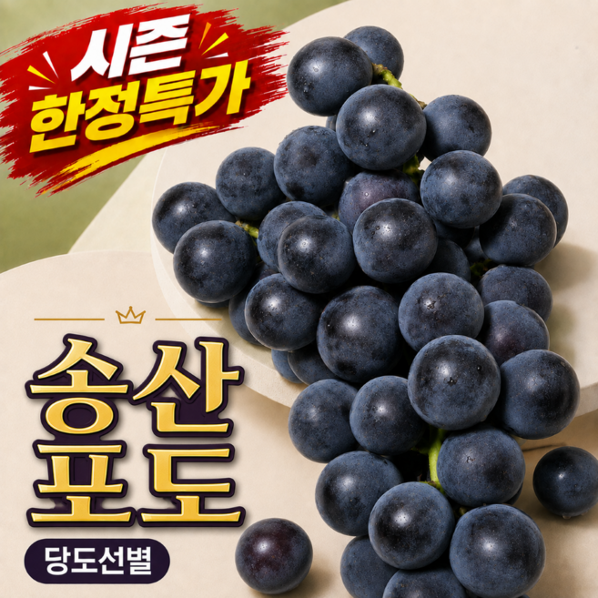 7위 - [농장특가] 송산포도 당도선별 씨없는 캠벨포도, 1박스, 3kg