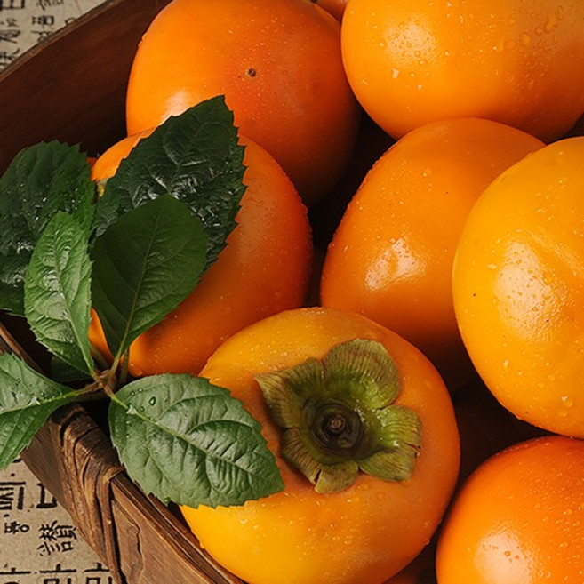 아삭한 국내산 단감 10kg(51-60과), 없음, 상세설명 참조