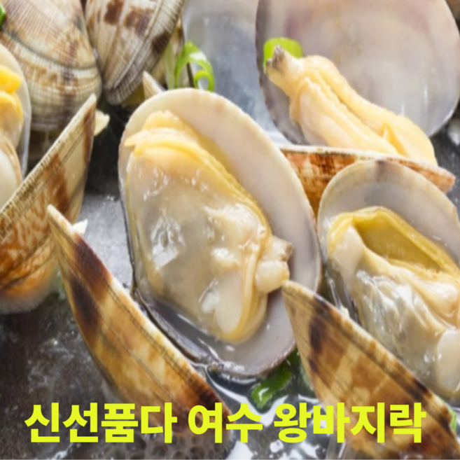 신선품다 바지락 여수 활바지락 생물 왕바지락 당일조업 산지직송, 1박스, 3kg(180미 내외)
