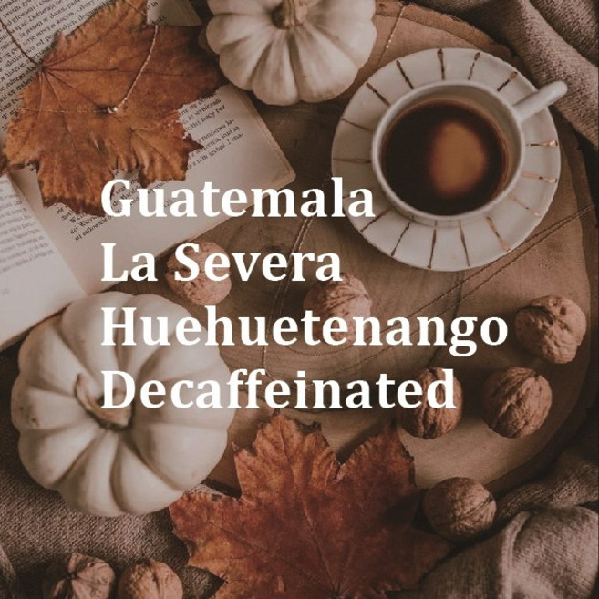 [150g] 과테말라 라 세베라 후에우에테낭고 (디카페인) _ 아띠제노스랩 스페셜티커피원두, 기타 (배송메세지에 기재), 1개, 150g