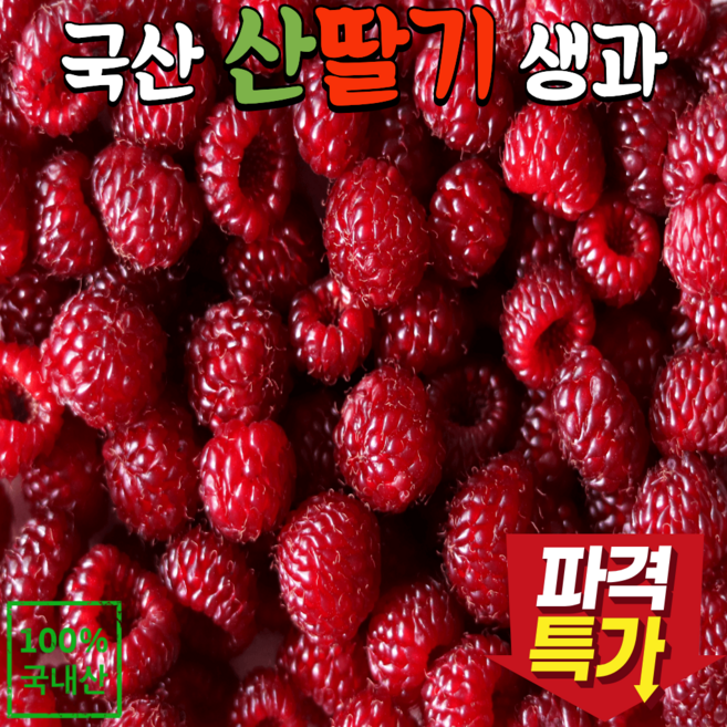 [당일수확] 2026 당도선별 국내산 산딸기 생과, 1개, 250g