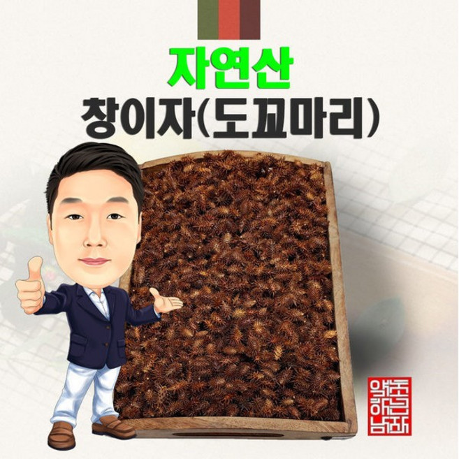 도꼬마리 창이자300g 자연산 국산 국내산, 300g, 1개