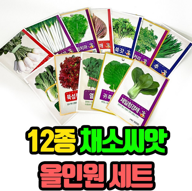 채소 씨앗 올인원 12종 세트, 1세트
