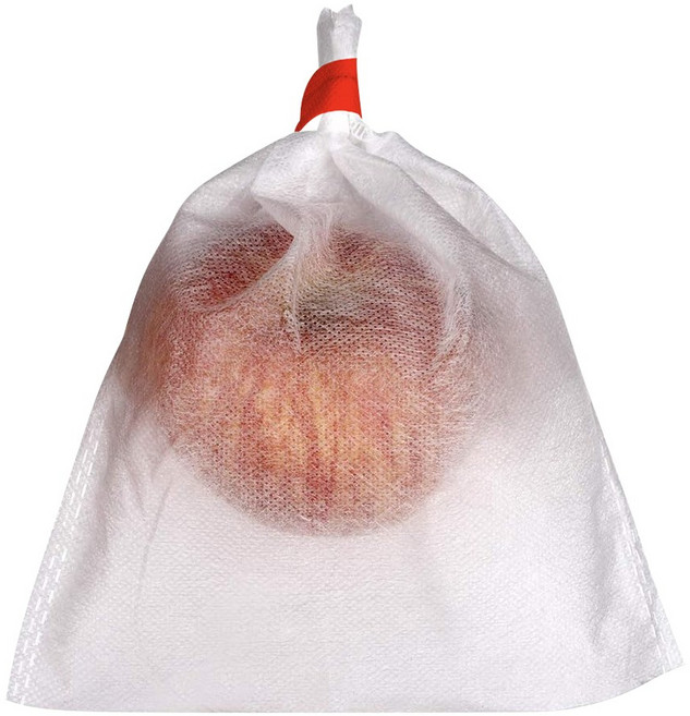 과수보호백 핀부착 부직포 과수봉지 포도 복숭아 사과 배, 2호, 50개, 흰색