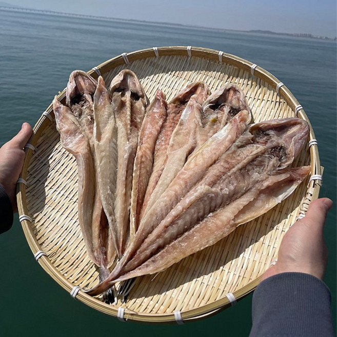 국산 손질 소금간 양태 장대 26~29cm내외 (대) 해풍건조 제수용생선 반건조양태, 1개, 540g 내외(3미)