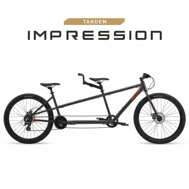 폴리곤 2인용자전거 [POLYGON] 텐덤 자전거, 1개