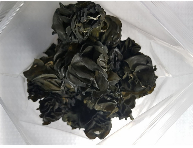 동해바다 자연산 미역귀, 미역귀200g+2봉, 2개