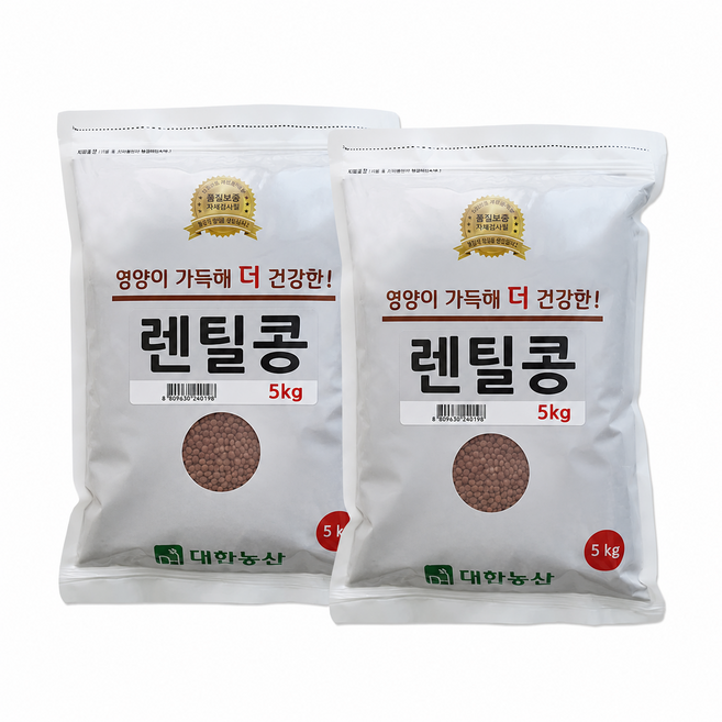 대한농산 렌틸콩, 5kg, 2개