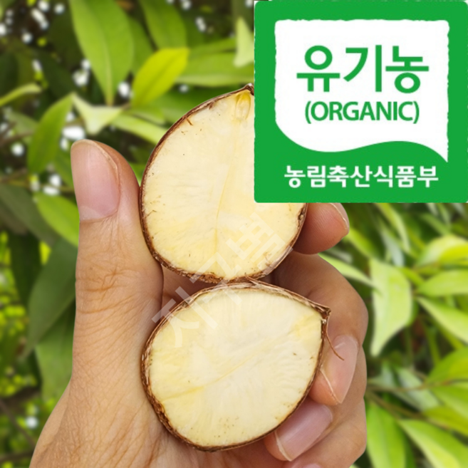 [쿠팡입점특가]백제정통밤 맛보면단골 포슬달콤 정안알밤 (대), 1박스, 2kg