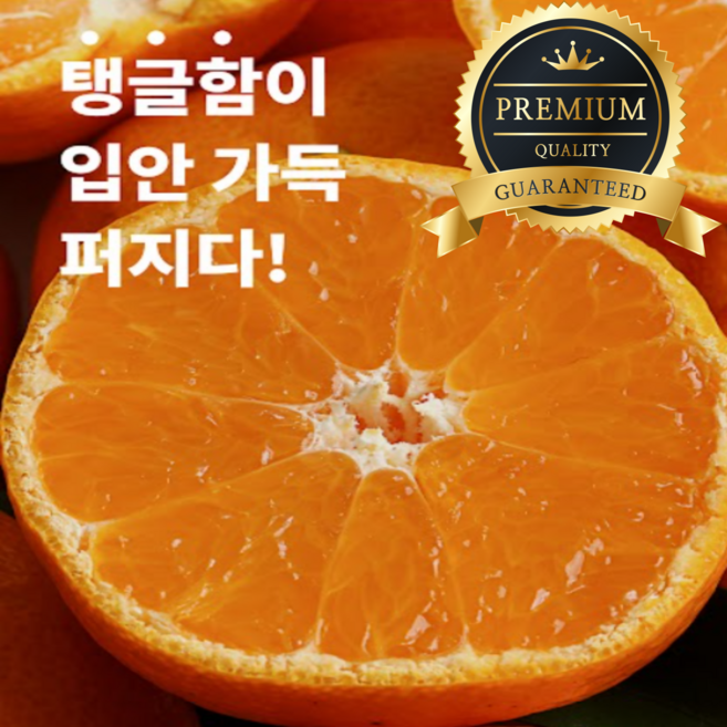 항공직송 프리미엄 고당도 달콤상콤 썬키스트 캘리포니아 만다린(오렌지와 귤의만남), 1박스, 프리미엄 썬키스트 고당도 만다린 5kg
