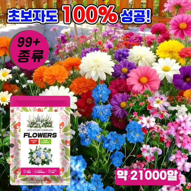[발아율 99.99%]가든 프리미엄 씨앗 세트 혼합 꽃씨앗 봄꽃 씨앗 발코니 꽃씨 사계절 꽃씨앗 꽃바다조합씨앗 꽃밭 정원 다년생꽃씨앗세트, 1개
