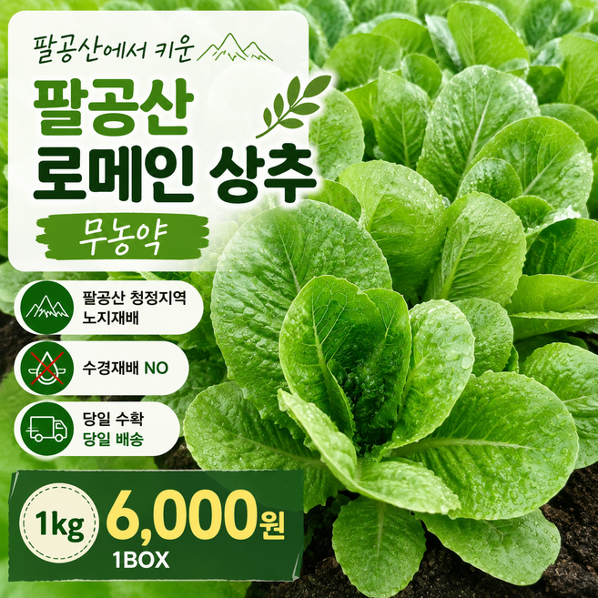 1kg 무농약 로메인 노지재배 농장직영 신선쌈채소 국내산 유럽상추 로메인상추, 1박스