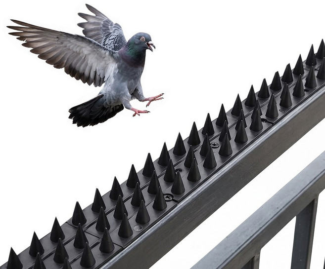 아띠꼴로 spike 아파트 에어컨실외기 비둘기퇴치 버드스파이크 비둘기 조류 퇴치기 1SET 10p, 블랙, 2세트