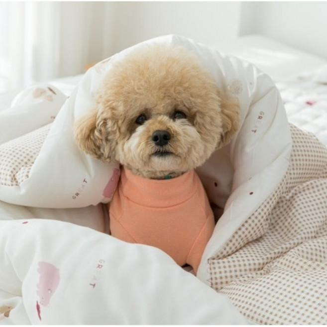 구름속에 모달100%이불 사계절 차렵이불 SS