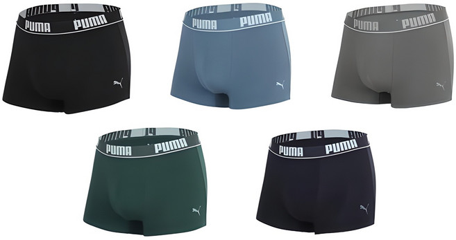 푸마바디웨어 남성용 40수 드로즈 팬티 5종 세트