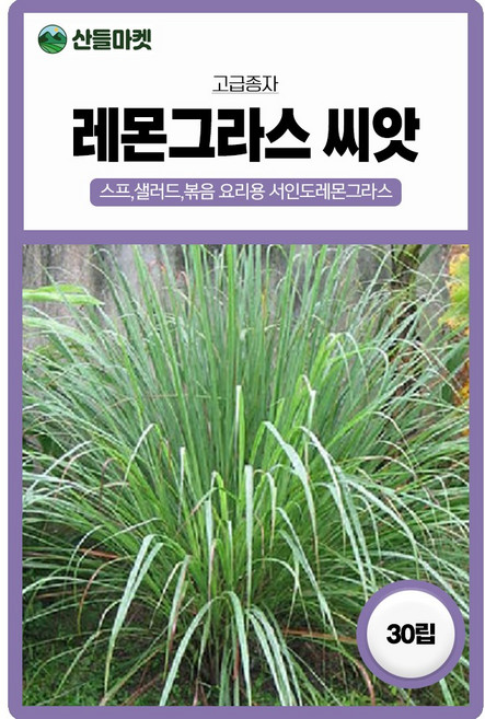 산들마켓 레몬그라스 허브 씨앗 30립 레몬향이 나는 일년생 식용 허브씨 종자, 1개