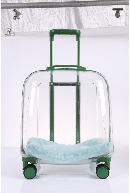 파이어니어 SQUARE 투명 캐리어 휴대식 에어박스 외출 가방 퍼프 박스 1개, 녹색