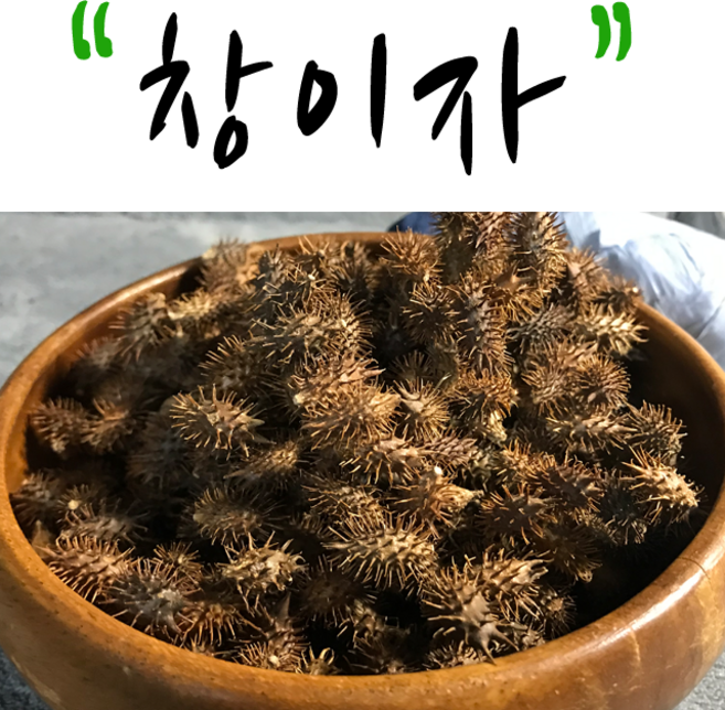 국산 창이자 300g 도꼬마리 말린 창이자, 1개
