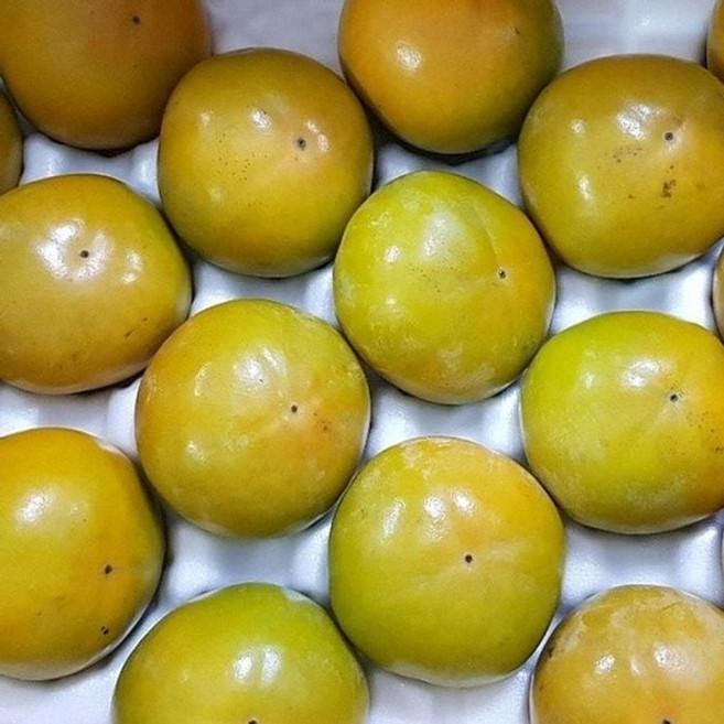 태추단감 5kg 대과, 1박스